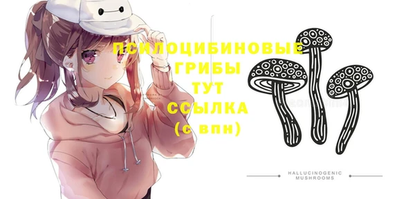прущий лед Алексеевка