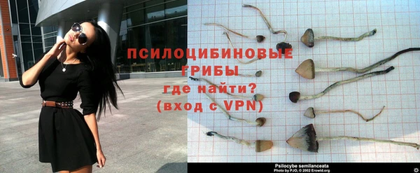 прущий лед Алексеевка