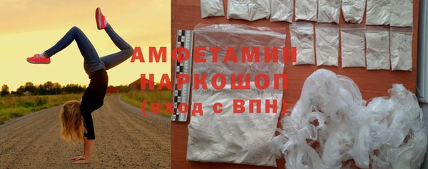 ГАЛЛЮЦИНОГЕННЫЕ ГРИБЫ Алзамай