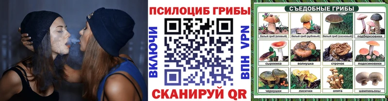 Галлюциногенные грибы MAGIC MUSHROOMS  Сургут 