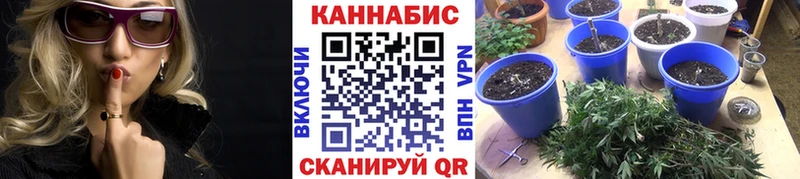 Бошки Шишки AK-47 Сургут